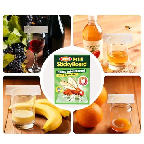 LFSYS Fruit Fly Traps for Indoors – 25 Pack DIY Cup Cover Adhesive Cards for Fruit Fly – Clear, Mess-Free, Indoor Use
