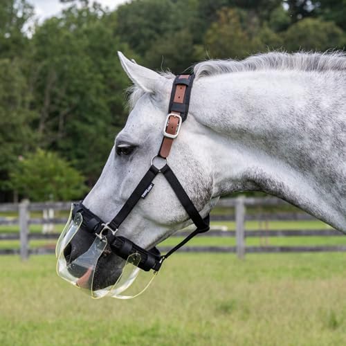 Turnout Halter for Use with Grazing Muzzle | Horse Equine Safe Comfortable Adjustable Breakaway Halter - Size Options - size: Medium Mini