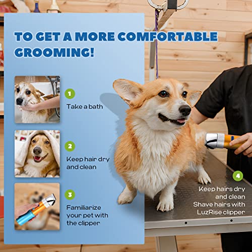 Dog Clippers for Grooming 400W with Rechargeable 5h-Standby Battery | Low Noise < 50db, Cordless Heavy-Duty Pet Hair Shaver Kit, with 2 Sharp & Detachable Blades of 3MM&6MM, Blue - size: 400W