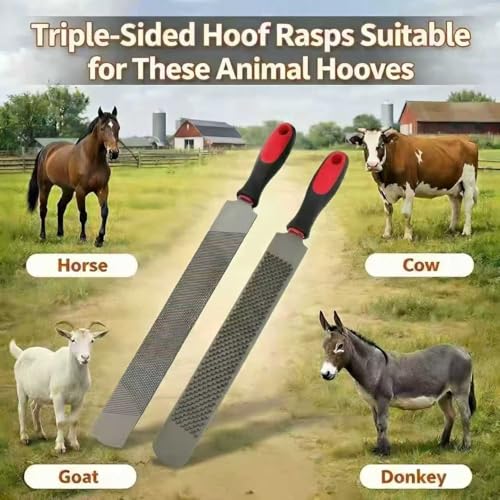 Horse Hoof Rasp 18 Inch T12 Carbon Steel Farrier File with Ergonomic Handle | Double-Sided Teeth, Heavy Duty, Professional Hoof Care, non-slip grip,