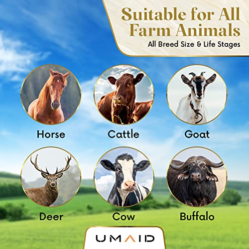 UMAID Himalayan Salt Lick 6 lbs on Rope for Horse, Deer, Goat & Livestock Animals, Salt Lick Deer, Salt Lick for Horses, Salt Block for Horses, Himalayan Salt Block 2 Pack - size: 6 Pound (Pack of 2)
