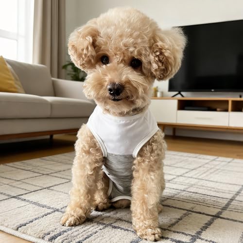 Dog Surgical Suit - Recovery Onesie for Dogs After Surgery, Spayed Female/Male Puppy, Breathable Anti-Lick Clothes, Alternative to Cone(Grey and White-XXS) - color: grey and white, size: XX-Small