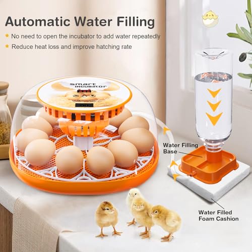 12 Egg Incubator with Automatic Egg Turning and Temperature Control, Automatic Water Adding, LED Egg Candler, Incubators for Hatching Eggs, Chickens, Ducks, Quail - color: Orange