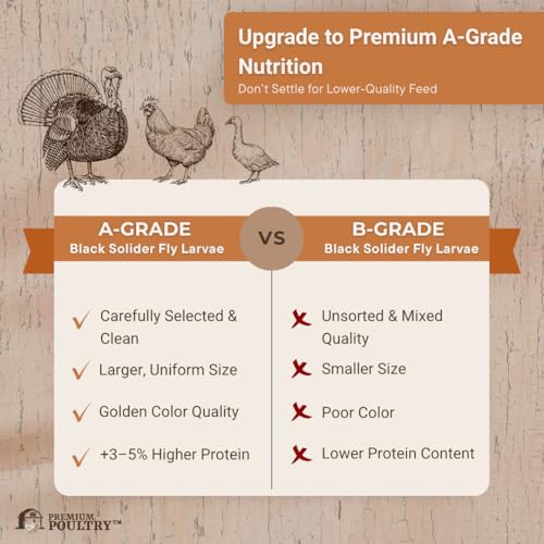 Black Soldier Fly Larvae for Birds, Non GMO & Organic, 5lb - size: 5lb, style: Soldier Fly Larvae