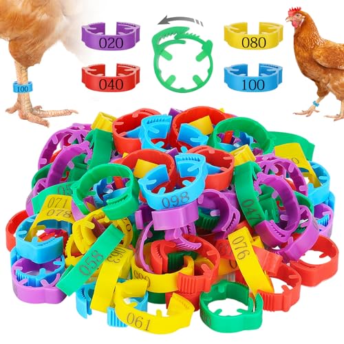 MEWTOGO 17-23mm Adjustable 100 Pcs Chicken Leg Bands | Colorful Easy to Read Numbered Chicken Identification Leg Rings, Durable Poultry Leg Bands for Ducks Goose Turkey Small Birds