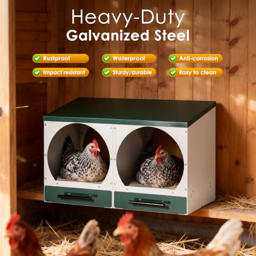 Chicken Nesting Box, Wall-Mounted Metal Roll Away Egg Laying Box | Galvanized Steel 2 Compartment Chicken Laying Boxes with Roll Away Egg Collection&Pull-Out Trays for Hens, Chickens, Ducks