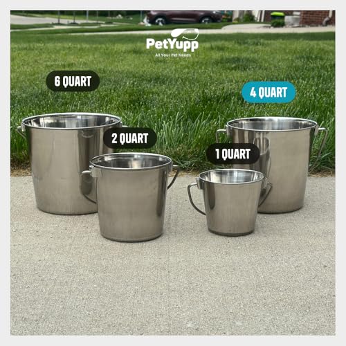 1 Gallon Stainless Steel Bucket - Durable Metal Bucket 4 Quart | Rust-resistant Bucket For Food Prep Cleaning Feeding & Watering Pets & Livestock - For Crates Kennel Cages & Fences - size: 4 Quarts