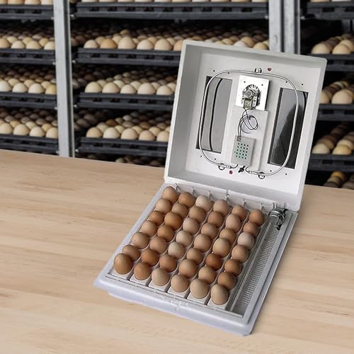 Farm Innovators 120 Volt 40 Watt Circulated Air Incubator for Up to 4 Eggs with Easy to Read Digital Display and Large Picture Window, White (3 Pack) - color: Digital Circulated Air, size: 3 Pack