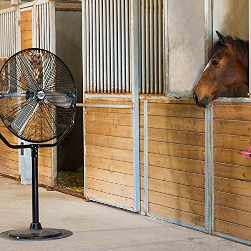 Maxx Air Industrial 30" Pedestal Fan, Powerful Heavy Duty Commercial Fan for Warehouses, Factories, and Large Spaces, Adjustable Height, Durable Construction, High Velocity Air Circulation