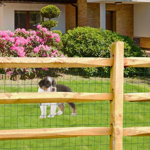 Green PVC Coated Welded Wire Fence 36" x 50' Roll, 2"x3" Mesh, 16 Gauge | Vinyl Coated Garden Fencing, Yard & Pet Barrier, Chicken Wire Fencing, Dog Enclosure Mesh, Vegetable Plant Protector - color: Green, size: 2''x3'' 16GA 36''x50'