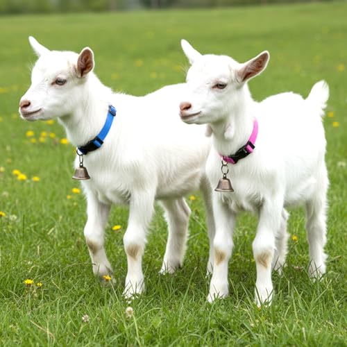 4 Pack Sheep Grazing Copper Bells & Adjustable Nylon Collar Set | Goat Collars with Bells, Bronze Bell for Find Your Animals Fast, Suitable for Small Newborn Animal Sheep Goat Cow Accessories