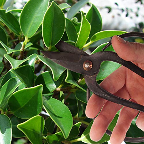 BambooMN Bonsai 7" Heavy Duty Butterfly Shear - 1 Piece - color: 7" Heavy Duty Butterfly Shear, size: 1
