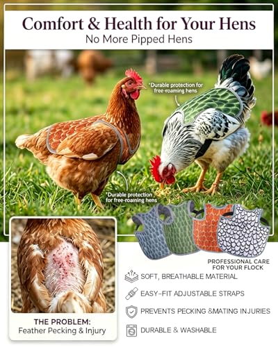 4PCS Chicken Saddle for Hens with 50pcs Chicken Leg Bands (001-050), Chicken Apron Back Protector with Adjustable Straps, Back Protector for Feather Loss & Rooster Mating (4PCS)