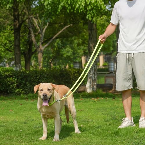 Waterproof Dog Leash with Poop Bag Holder, 5FT/6FT Adjustable Length with 2 Swivel Hooks, Odor-Free & Easy-Clean Dog Lead for Large Medium Small Dogs - color: Lime Green, size: 6FT - 3/4inch Width