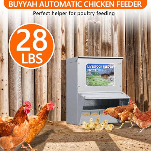 Automatic Chicken Feeder 30lb Capacity | Galvanized Metal Poultry Feeder, Waterproof Chicken Feeder, Suitable for Poultry, Geese, Quails, Bantams, Ducks and Turkey