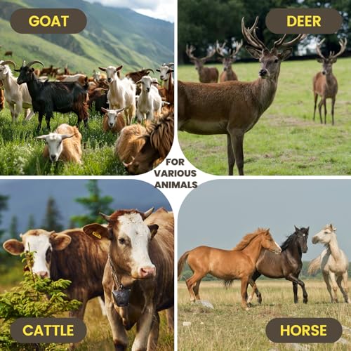 MERIANE Electric Fence Wire 1/8" 656 Feet/200 Meters for Livestock | Upgraded 6 Stainless Steel Strands Conductors, UV Wear Rust Resistant, Portable Polyrope Electric Fence Polywire - size: 1/8" 656 Feet/200 Meters