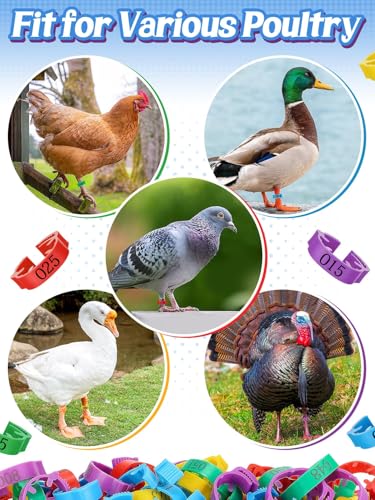 MEWTOGO 17-23mm Adjustable 100 Pcs Chicken Leg Bands | Colorful Easy to Read Numbered Chicken Identification Leg Rings, Durable Poultry Leg Bands for Ducks Goose Turkey Small Birds
