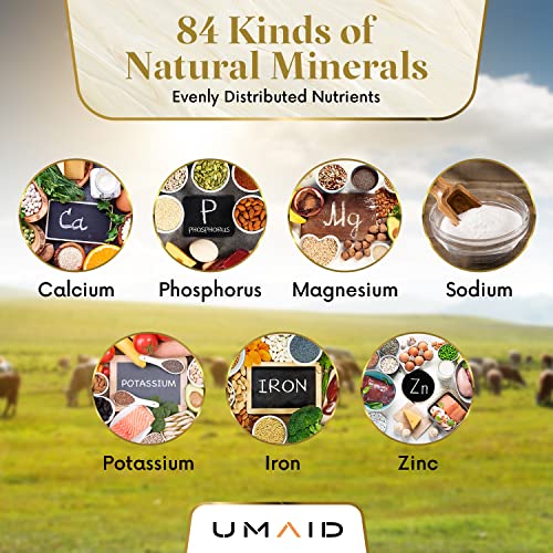UMAID Himalayan Salt Lick 6 lbs on Rope for Horse, Deer, Goat & Livestock Animals, Salt Lick Deer, Salt Lick for Horses, Salt Block for Horses, Himalayan Salt Block 2 Pack - size: 6 Pound (Pack of 2)