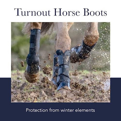 LeMieux Turnout Horse Boots - Protective Gear and Training Equipment - Equine Boots, Wraps & Accessories - size: Small