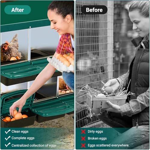 Chicken Nesting Box, 8 Compartments Roll Away Eggs Laying Boxes, Cleanable Pull Out Hen Roosting Boxes, Durable& Easy to Install, Green - color: Green, size: 8 holes
