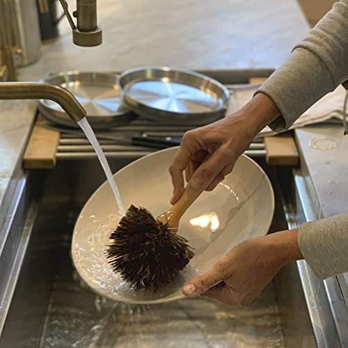 Fox Run Kitchen Brush, Dish Brush with Sturdier Natural Bassine Bristles, 8.75" - color: Tan, size: 8.75" Bassine Fiber Kitchen Brush