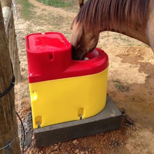 Ritchie Thrifty King CT1-2000 Automatic Livestock Waterer for Cattle – Super-Insulated, Energy-Efficient, Single Drink Area, 11.2 Gallon Capacity, Durable Poly Construction, Model 16271