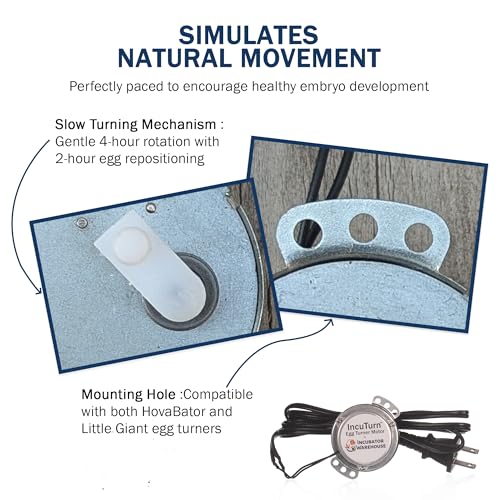 Replacement Egg Turner Motor for Little Giant and HovaBator Egg Turners