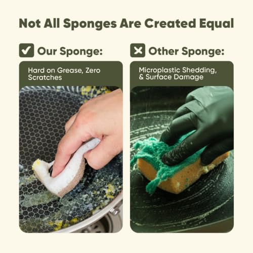 Plant-Based Kitchen Sponges (12 Pack) | USDA Biobased Certified | FSC & PETA Approved | Natural Cellulose & Coconut Scrubber Sponge | S-Shaped Design | Eco-Friendly, Non-Scratch, Non-Toxic & Vegan - size: 12 Pack