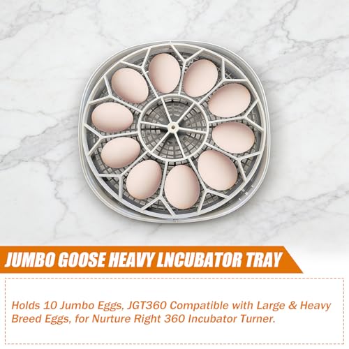 JGT360 Jumbo Goose Egg Incubator Tray for Nurture Right 360 Incubator | 10 Egg Capacity, Compatible with Large & Heavy Breed Eggs, including geese, turkeys, ducks, peacocks Wait