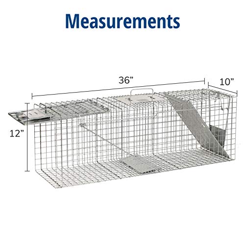 Havahart Large 2 Door Humane Catch and Release Live Animal Trap for Armadillos, Beavers, Bobcats, Small Dogs, Cats, Foxes, Groundhogs, Nutria, Opossums, Raccoons, Live Catch Trap for Stray Dogs 1045SR