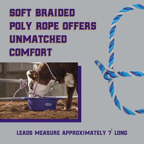 Weaver Livestock Braided Poly Rope Cattle Halter, Adjustable Cow Calf Halter, Livestock Handling Equipment for Showing, Dark Blue/Hurricane Blue/Gray - color: Dark Blue/Turquoise/Gray, size: One Size