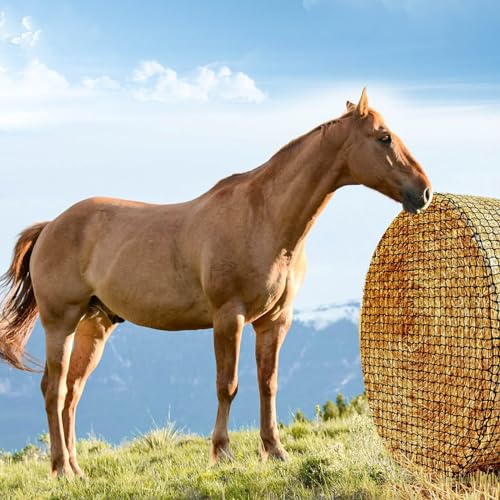 Round Bale Hay Net for Horses-5x5ft Size, Nylon Net with 1.75 Inch Holes | Thick & Durable Round Bale Hay Net for Horses - 5x5ft, Slow Feed Hay Nets for Horses and Goats - Healthier Feeding Solution