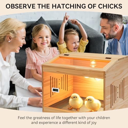 Brooder Box for Chicks, Wooden Chicken Brooder with Heat Lamp | Thermometer included, Clear acrylic panels, Slide-out mesh drawer, 5 disposable liners, Cleaning tools, Easy assembly