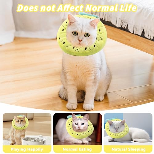 Soft Cat Cone Collar, Cute Cats Recovery Collar Suitable for Cats | Cat cone for Small, Medium, Large cat,Elizabethan Neck Collar for Cats After Surgery (Pineapple, Small) - color: Pineapple, size: Small