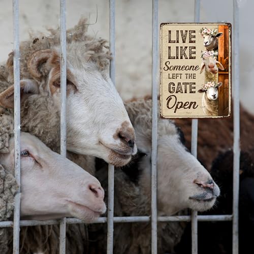 Sheep Sign Decor - Keep Gate Closed Sheeps Metal Signs, Gifts For Sheep Lovers Aluminum Rust Free 9" X 11", Pre-Drilled Holes, Weather