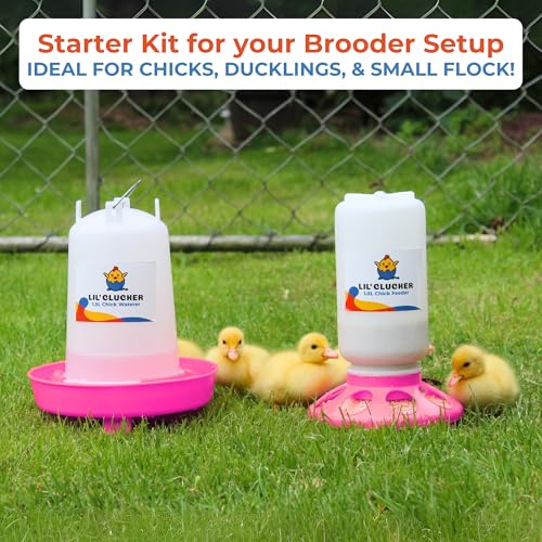Lil'Clucker 1L Chick Feeder, 1.5L Chicken Waterer - No Leakage Chick Feeder and Waterer Kit, Durable Chicken Water Feeder, Chicken Feeder and Waterer Set, Poultry Waterer (Pink) - color: Pink