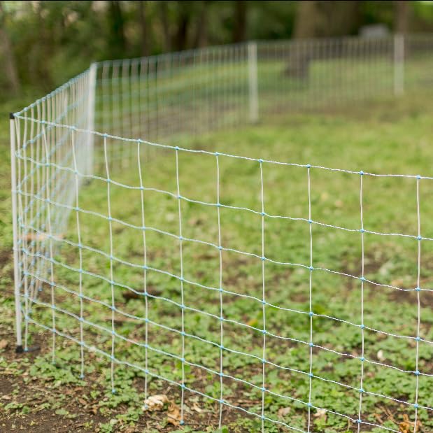 48" x 164' Positive/Negative Sheep and Goat Electric Netting for Dry Soil Conditions