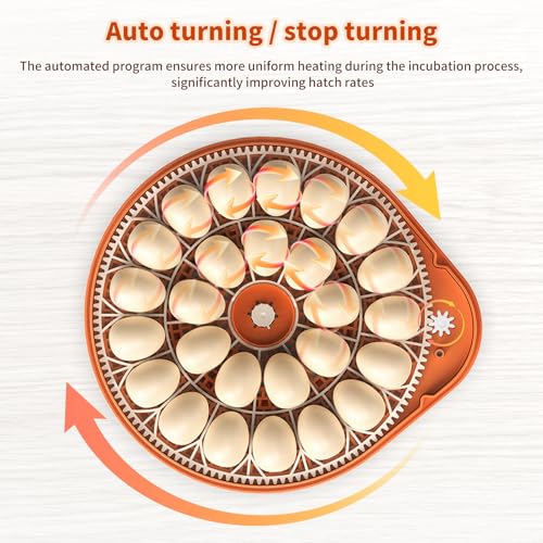 Incubators for Hatching Eggs, FAMEWARE 26 Egg Incubator with Voice Control, Auto Turning, Auto Humidity, °F/°C Switch & Egg Candler, Fits Chicken Bird Eggs - Orange - color: Orange