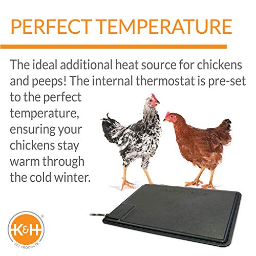 K&H Heating Pad, Thermo Heated Chicken Pad, Safety Listed, 40W, Black | Warming Nesting Chicken Coop Accessory, Poultry Chick Heat Lamp Alternative, Automatic Temperature, 18.5x12.5 in