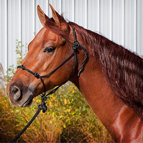 Dura-Tech Rope Control Halter for Horses w/13.5 Lead | Provides Optimal Control | Adjusts to Fit Various Breeds | Includes Durable 13.5' Lead | Soft Yet Heavy-Duty Poly Rope