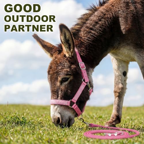 1 Set Mini Donkey Halter with Lead Rope Adjust, Pink | Nylon Head Collar, Cute and Stylish, for Miniature Donkey and Small Equines, Farm Ranch Pasture Outdoor, Gingham Plaid Trim - color: Pink