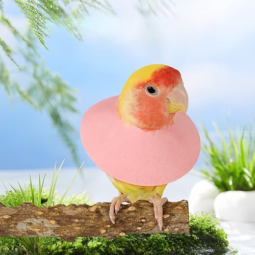 3 Pack Anti-bite Bird Collars Anti-Grab Feather Plucking Wound Healing Safety Elizabethan Collar Neck Protector Recovery Cones for Budgerigar Cockatiel Lovebirds Cockatoo Parrots-L - size: L