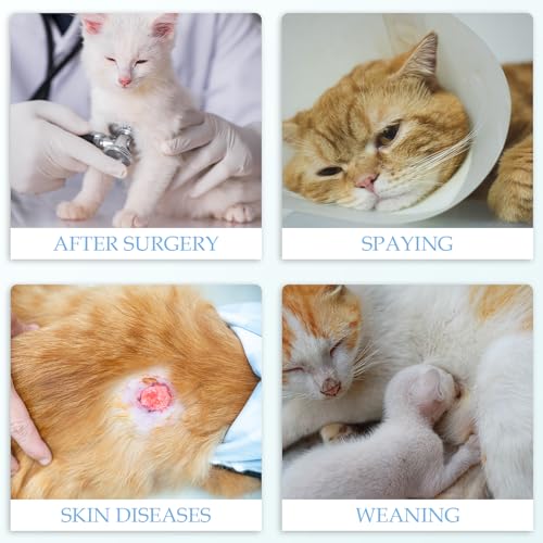 ANWA Cat Recovery Suit - Breathable Cat Onesie for Cats After Surgery Female, Kitten Surgery Recovery Suit Female Abdominal Wounds - color: Star, size: Small