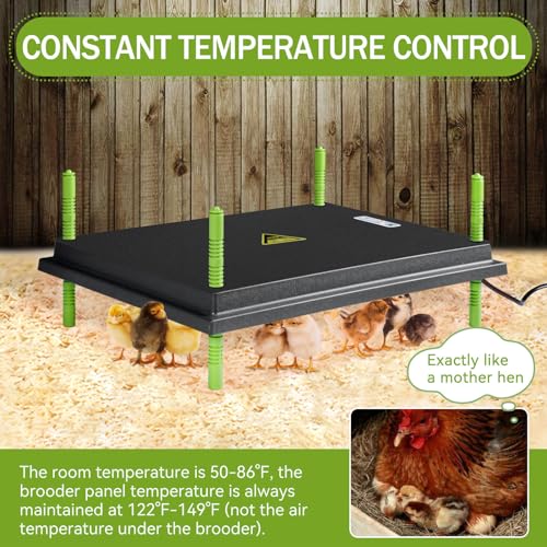 Chick Brooder Heater Plate for Up to 50 Baby Chicks Ducks | 16"x22" Brooder Plate for Chicks, Adjustable Height, Energy Saving, 50W, 110V - size: 22"L x 16"W