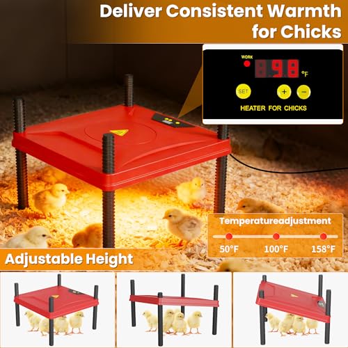 Brooder Box for Chicks, All-in-One Chick Starter Kit, Stainless Steel Frame Baby Chicken Brooder Playpen with Heater, Perch, Feeder & Waterer Set, Up to 30 Chicks, Hexagon Style