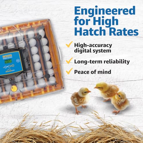 Brinsea Ovation 56 EX Egg Incubator, Automatic Turning & Humidity Control | 50+ years of trusted precision! Built-in automatic humidity, auto-turn & temp alarms take the stress out of hatching 56 eggs - style: Not Connected