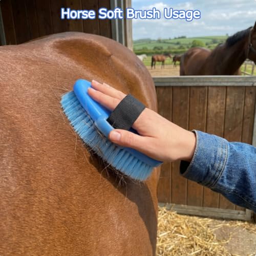 Horse Grooming Kit, 13-Piece Horse Brush Set with Organizer Bag Complete Care, Mane Braiding Kit, Brushes & Curry Comb for Effective Grooming, Ideal Supplies Set for Horses Riders Beginners