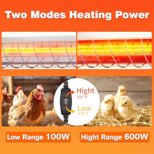 600W Heat Lamp for Chickens, Large Chicken Coop Heater, Adjustable Temp and Height, No Assembly Brooder Heater for Chicks Pets Livestock, 1 Pack - color: Heat lamp 600W - 1 Pack