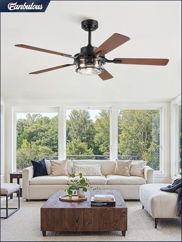 Fanbulous 52" Farmhouse Ceiling Fan with Light & Remote App, Rain Glass | Quiet DC Motor, 6-Speed Reversible, Downrod Mount, Double-Sided Blades, Black & Wood for Bedroom, Living Room - color: Black