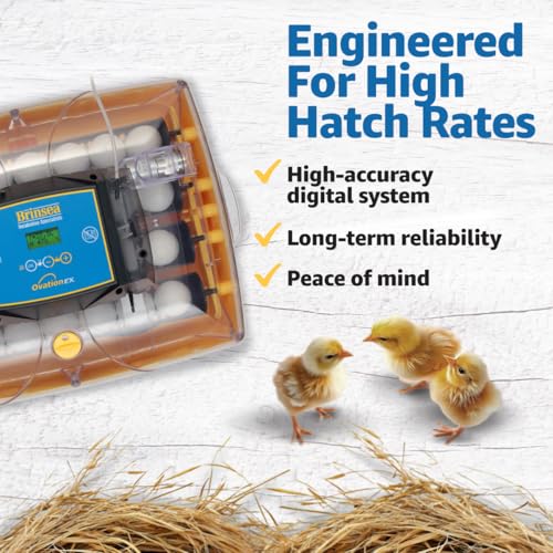 Brinsea Ovation 28 EX Egg Incubator, Automatic Turning & Humidity Control | 50+ years of trusted precision! Built-in automatic humidity, auto-turn & temp alarms take the stress out of hatching 28 eggs - style: Without Book